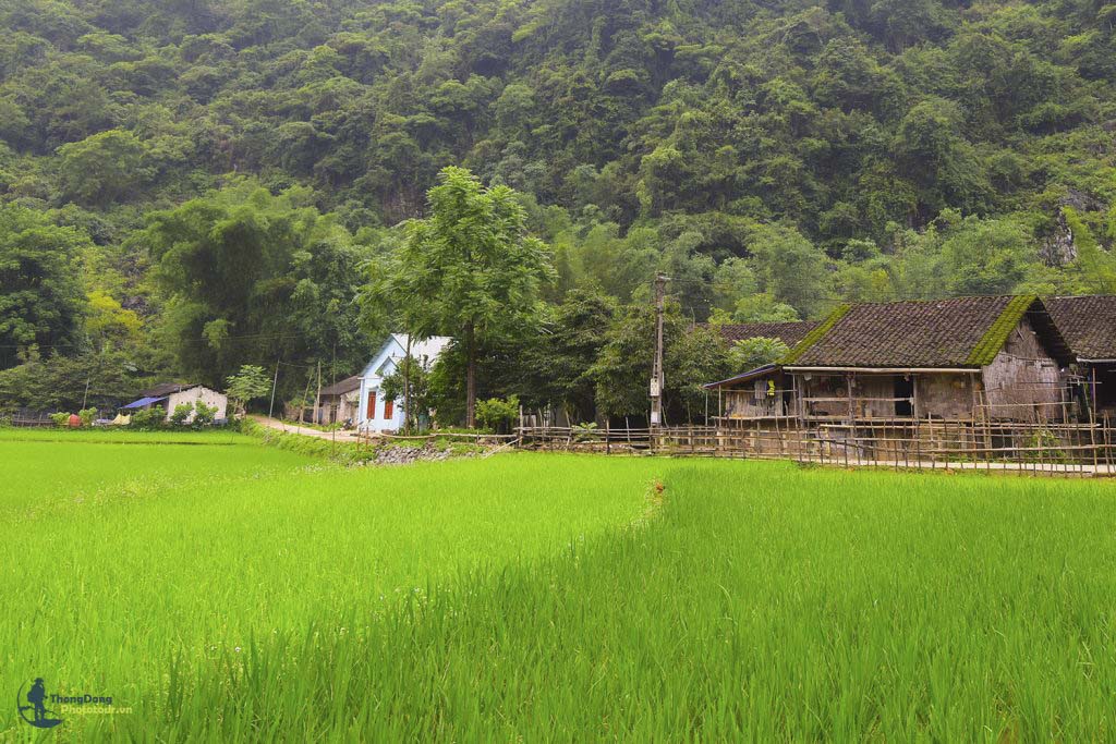 CB Thongdong 2