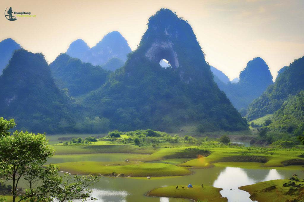CB Thongdong 3