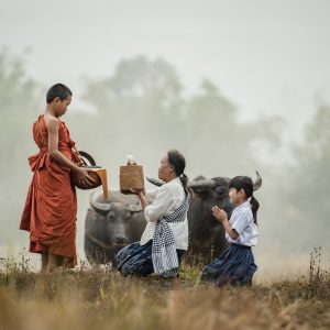 Grandmother And Grandson Offer Food.