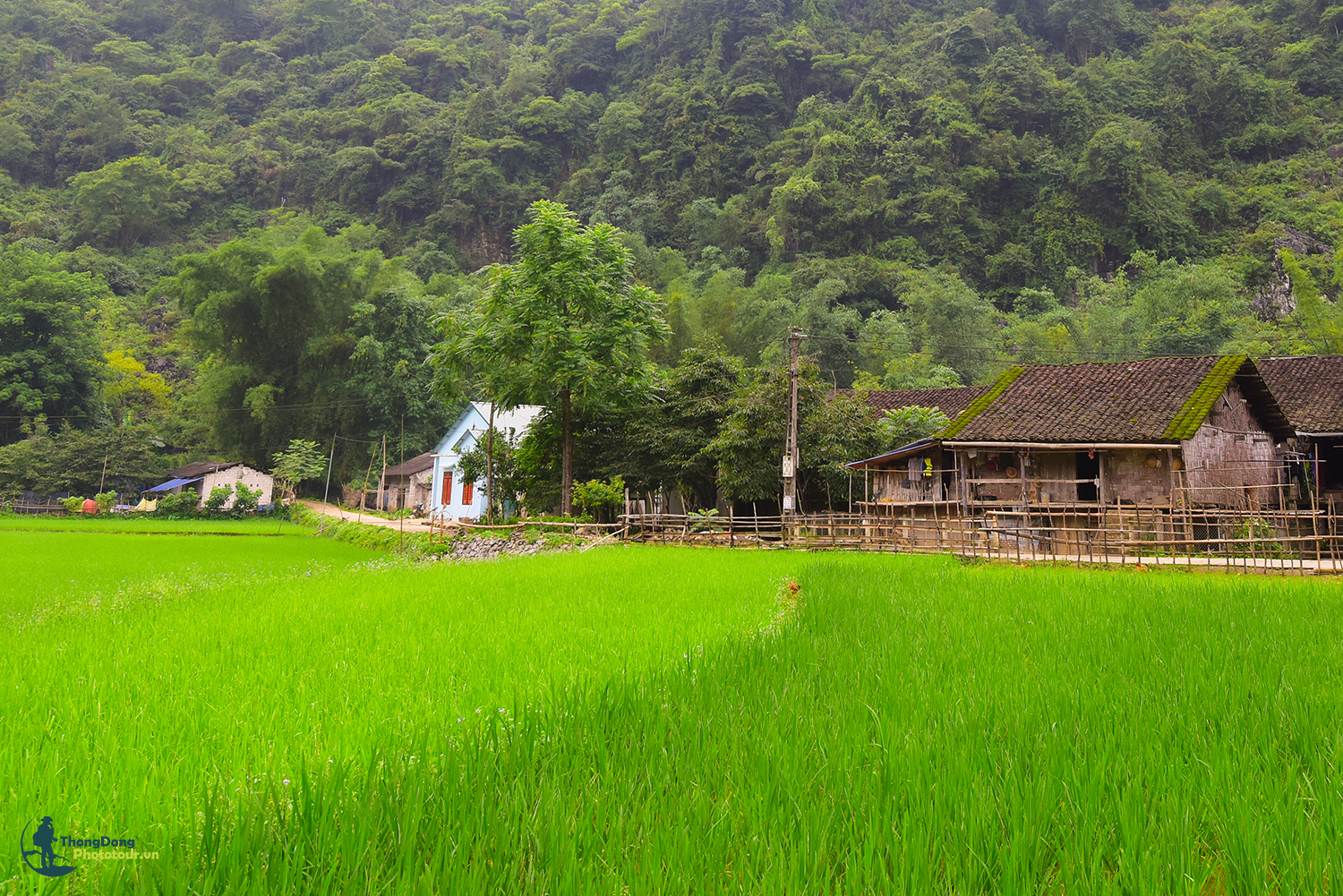 Cao Bằng Thongdong (12)