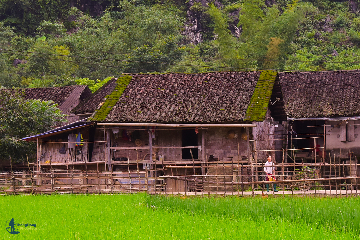 Cao Bằng Thongdong (13)