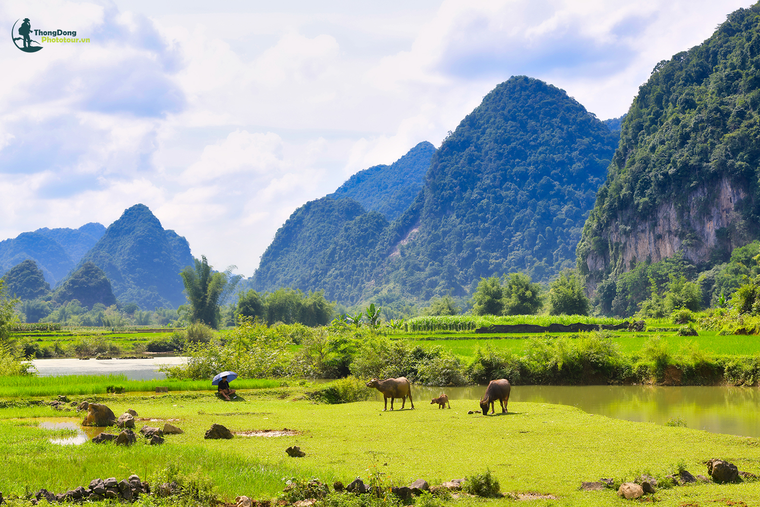 Cao Bằng Thongdong (4)