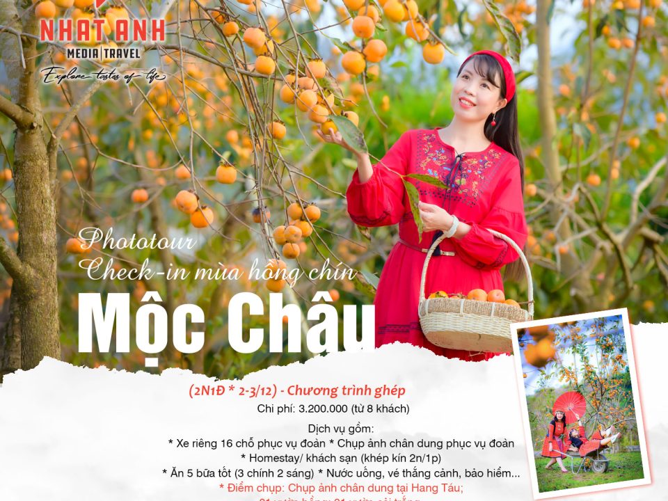 Hồng Chín Mộc Châu