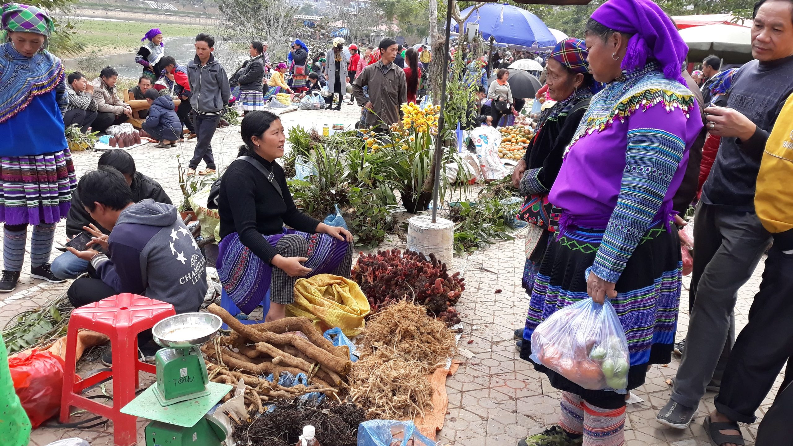 Cho Phien Bac Ha (6) Min 699113149