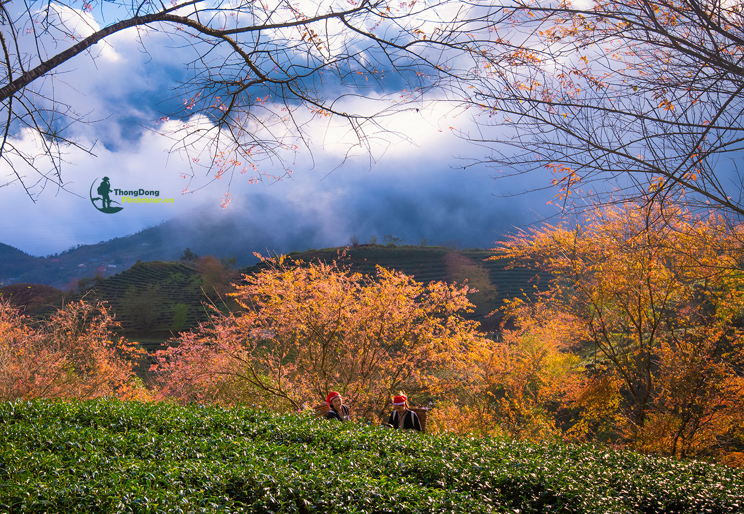 Sapa Thongdong (10)