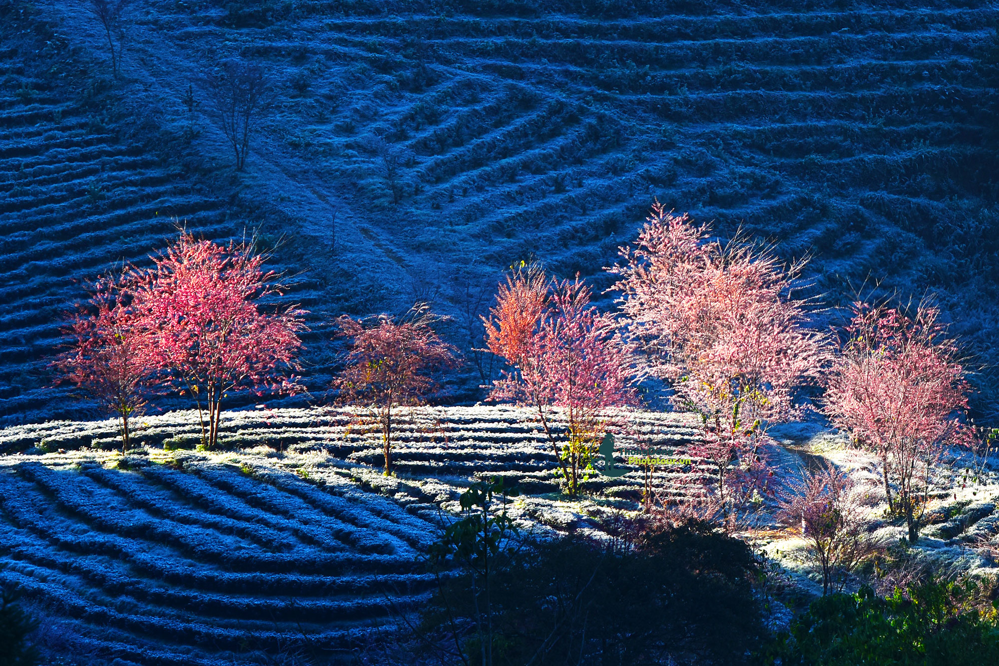 Sapa Thongdong (4)