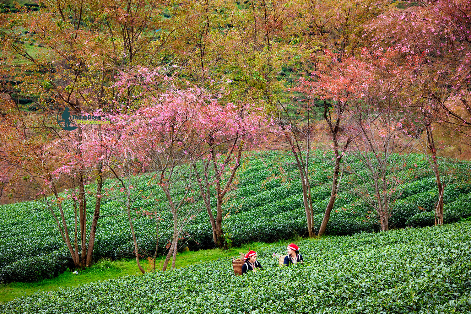 Sapa Thongdong (7)