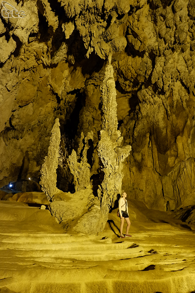 DSCF6488NguomNgao